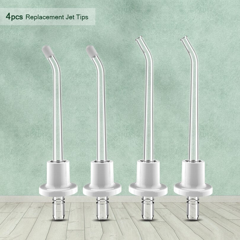 Oral Irrigator Portable Dental Water Flosser for Bridges Care Large Capacity 4 Replacement Tips Professional Irrigador Dental