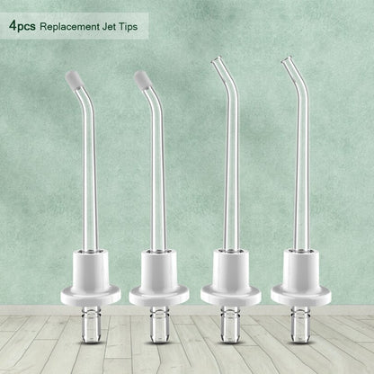 Oral Irrigator Portable Dental Water Flosser for Bridges Care Large Capacity 4 Replacement Tips Professional Irrigador Dental